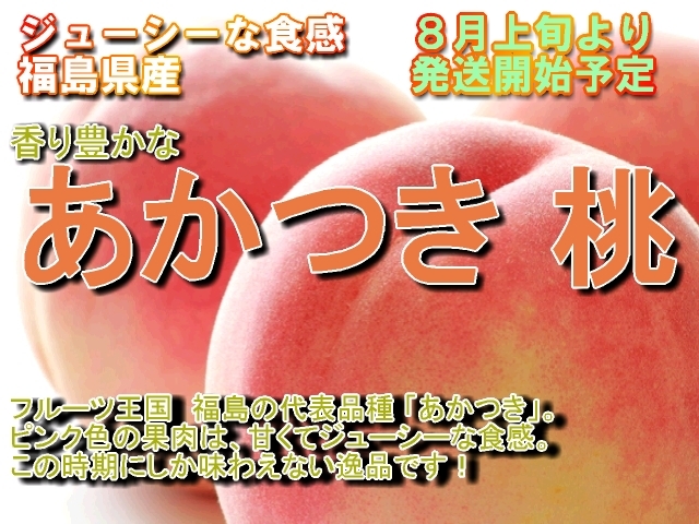 福島県　玄米 コシヒカリ】 令和6年産 / 福島県国見町産 30kg 玄米での発送