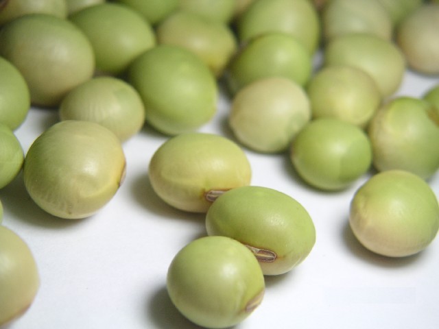 22年産 青系大豆「秘伝」 200g