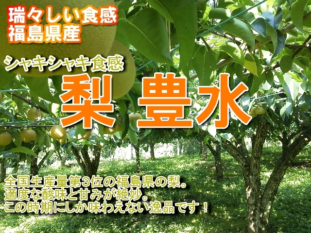 福島県 梨