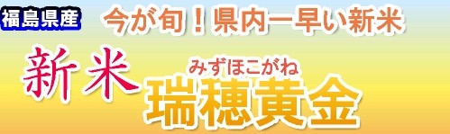 みずほこがね 新米
