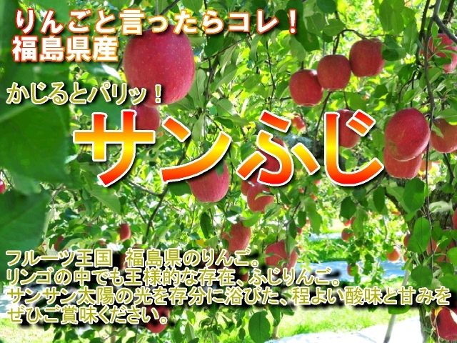 福島 りんご ふじ
