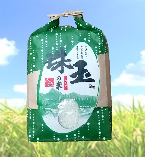 7年 須賀川市産 コシヒカリ「珠玉の米」 白米5キロ