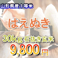 25年 山形県 はえぬき1等 石抜玄米30キロ/30kg