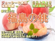 【送料無料】福島県須賀川産　★桃★　おまかせ桃 秀品 約４キロ/９月初旬頃から収穫開始