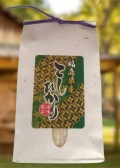 ６年　福島県中通り産コシヒカリ　白米２kg|精米２キロ