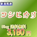 新潟県産コシヒカリ