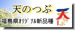 天のつぶ　福島県