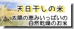 天日干し　自然乾燥　コシヒカリ