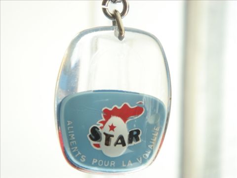 ブルボンキーホルダー STAR