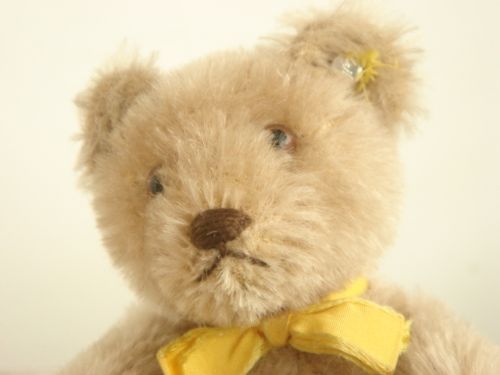アンティーク シュタイフ Steiff テディベア Teddy Bear Sサイズ