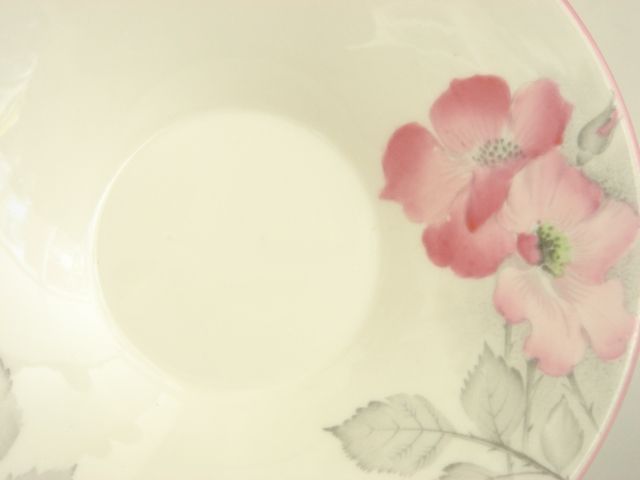SHELLEY シェリー ドッグローズ Dog roses ティートリオ