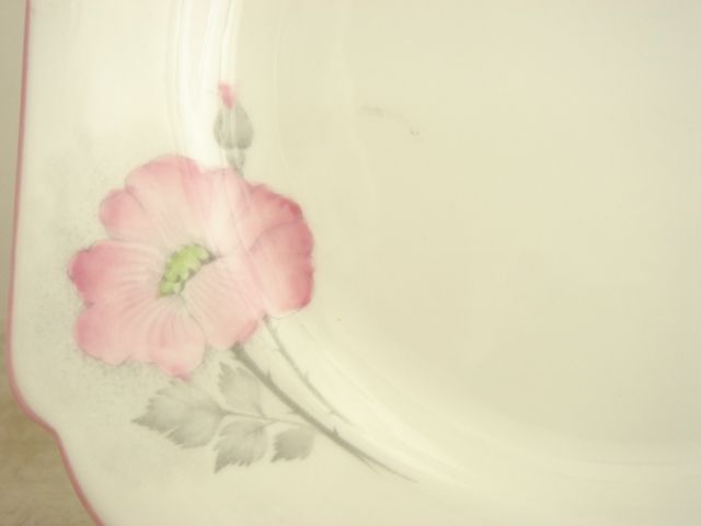 SHELLEY シェリー ドッグローズ Dog roses ティートリオ