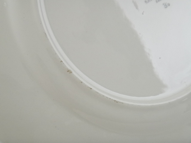 チューリップのアンティーク皿 OTTO DIGOIN SARREGUEMINES製