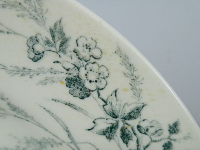 アンティーク皿 鳥 モントロー LINOTTE Creil et Montereau製