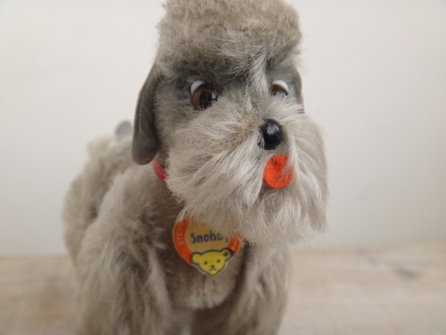 アンティーク シュタイフ プードル Steiff Snobby 14cmサイズ