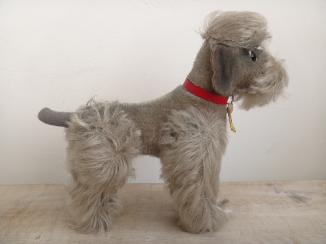 アンティーク シュタイフ プードル Steiff Snobby 14cmサイズ