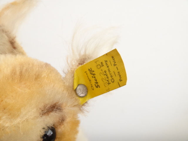 アンティーク シュタイフ リス Steiff Possy 22cmサイズ