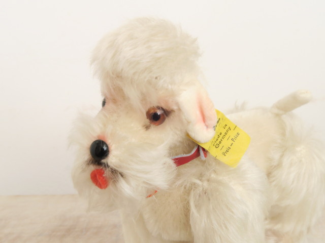 アンティーク シュタイフ プードル 白 Steiff Snobby 14cm