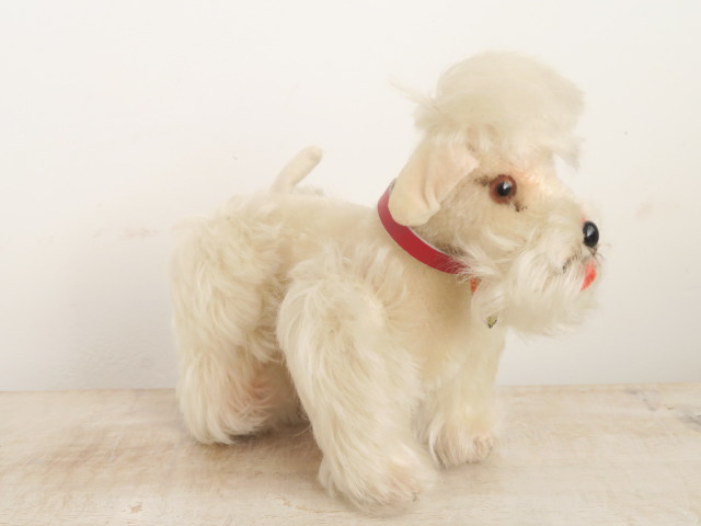 アンティーク シュタイフ プードル 白 Steiff Snobby 14cm