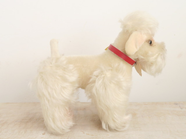 アンティーク シュタイフ プードル 白 Steiff Snobby 14cm