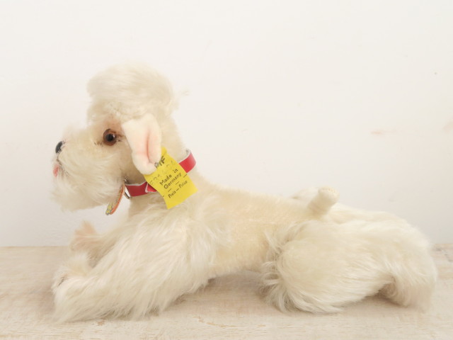 アンティーク シュタイフ プードル 白 Steiff Snobby 14cm