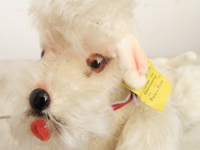 アンティーク シュタイフ プードル 白 Steiff Snobby 14cm