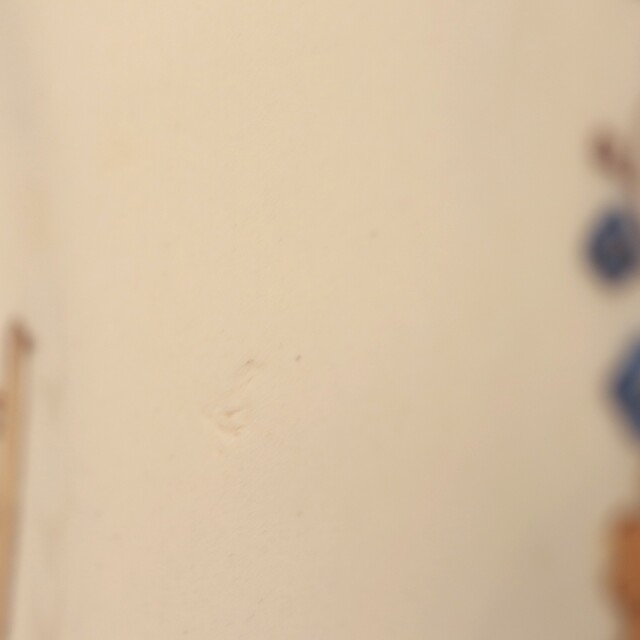 ENFANTS RICHARD ヴィンテージ プレート 皿 フランス サルグミンヌ製 SARREGUEMINES