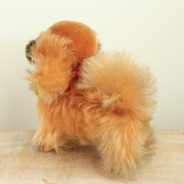 アンティーク シュタイフ ペキニーズ ぬいぐるみ Steiff Peky 10cm