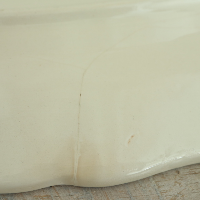 ENFANTS RICHARD ヴィンテージ ラヴィエ オーバル皿 フランス サルグミンヌ製 SARREGUEMINES