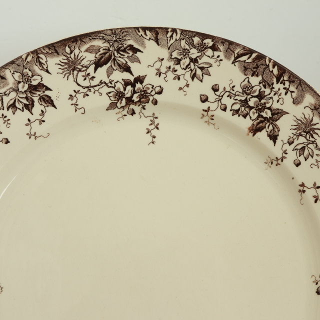 アンティーク プレート アルファン 皿 フランス サルグミンヌ製