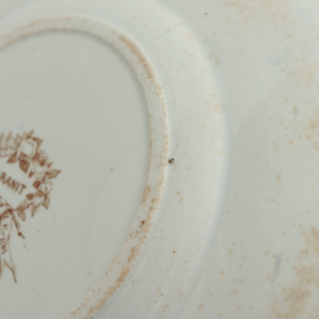 アンティーク プレート デザート皿 CRANIT フランス ショワジールロワ