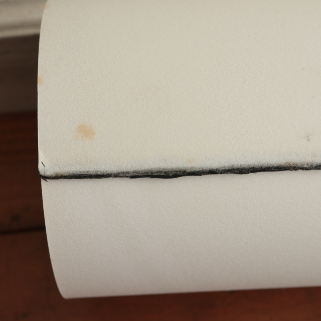 サヴィニャック オランジーナ リトグラフ ポスター Orangina SAVIGNAC