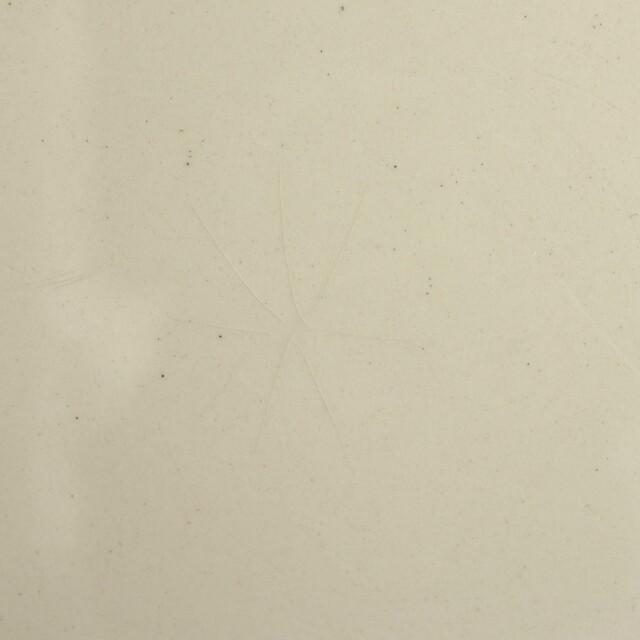 アンティークプレート ゼラニウム 皿 GERANIUM フランス サルグミンヌ製 U&C SARREGUEMINES