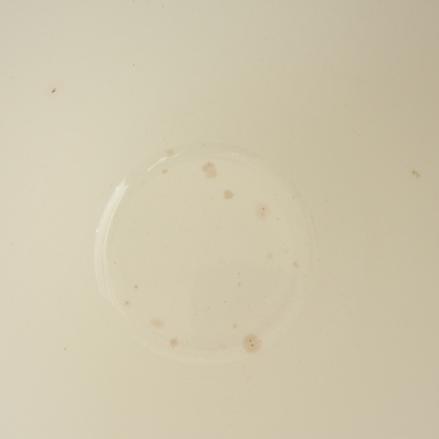 アンティーク カフェオレボウル アイビー SIROCCO フランス ディゴワン&サルグミンヌ製 DIGOIN & SARREGUEMINES