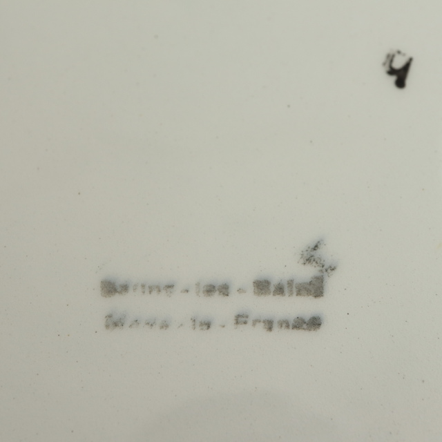 アンティーク プレート 花リム 皿 フランス サラン製 SALINS