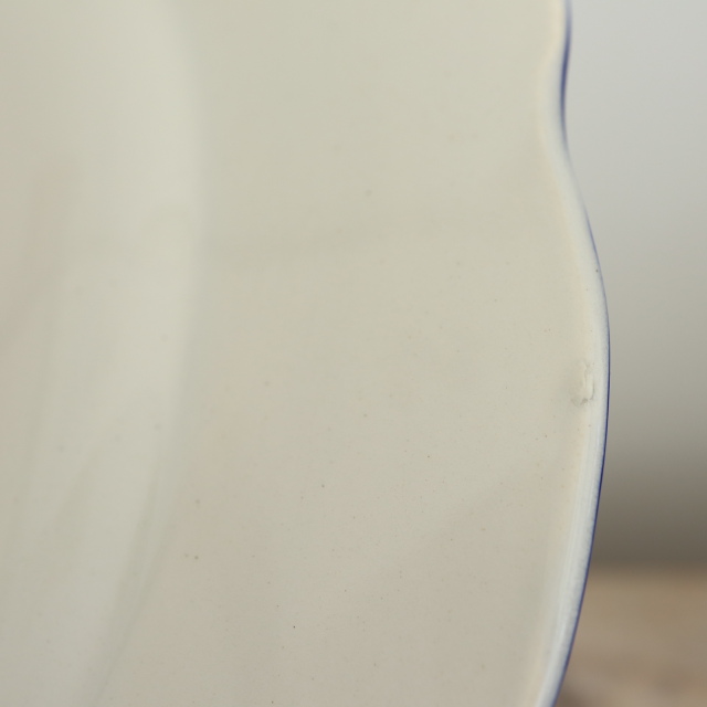 アンティーク プレート 花リム 皿 フランス サラン製 SALINS