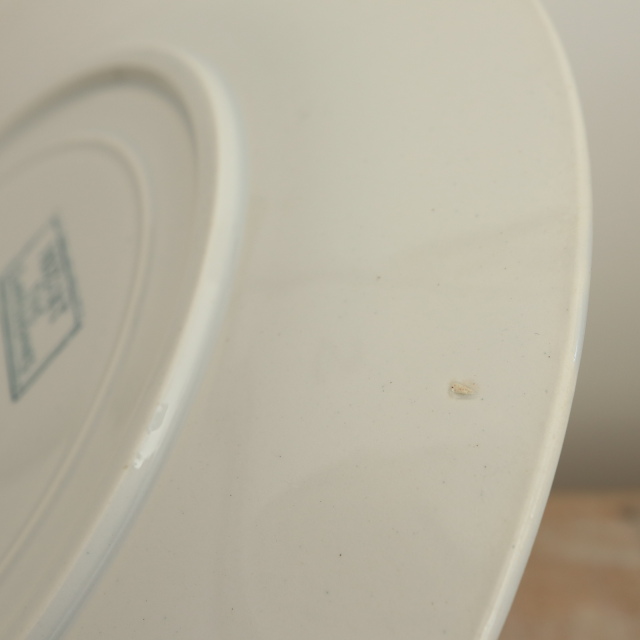 アンティークプレート モーツァルト 皿 MOZART フランス サルグミンヌ製 U&C SARREGUEMINES