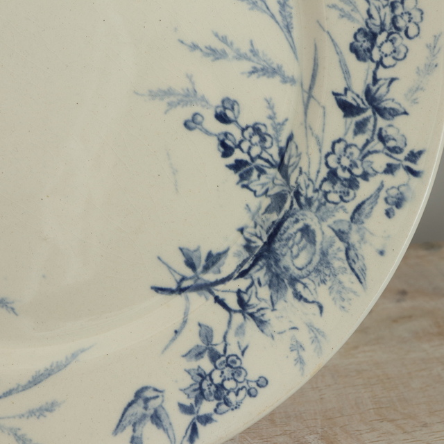 アンティーク プレート 小鳥 皿 LINOTTE フランス クレイユモントロー製 Creil Montereau