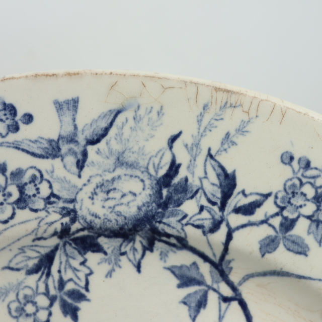 アンティーク プレート 小鳥 皿 LINOTTE フランス クレイユモントロー製 Creil Montereau