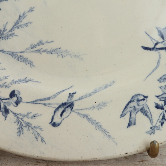 アンティーク プレート 小鳥 皿 LINOTTE フランス クレイユモントロー製 Creil Montereau