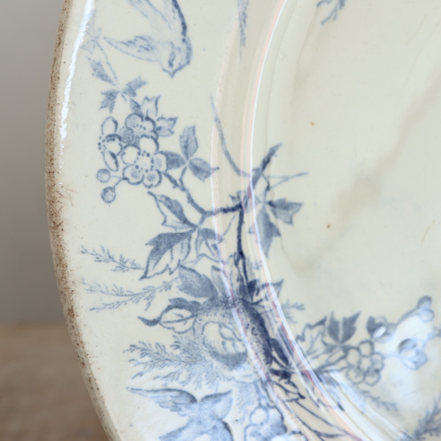 アンティーク プレート 小鳥 皿 LINOTTE フランス クレイユモントロー製 Creil Montereau