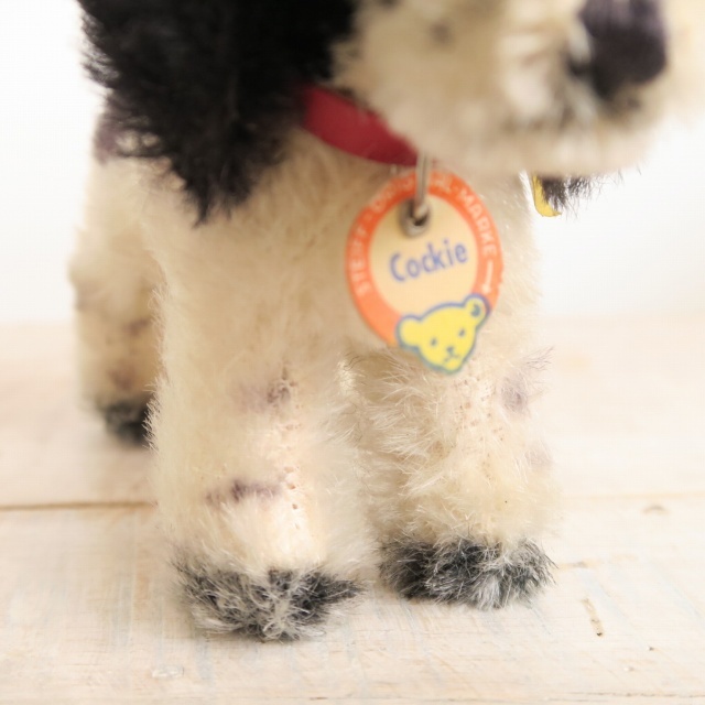アンティーク シュタイフ コッカースパニエル Steiff Cockie 12cm