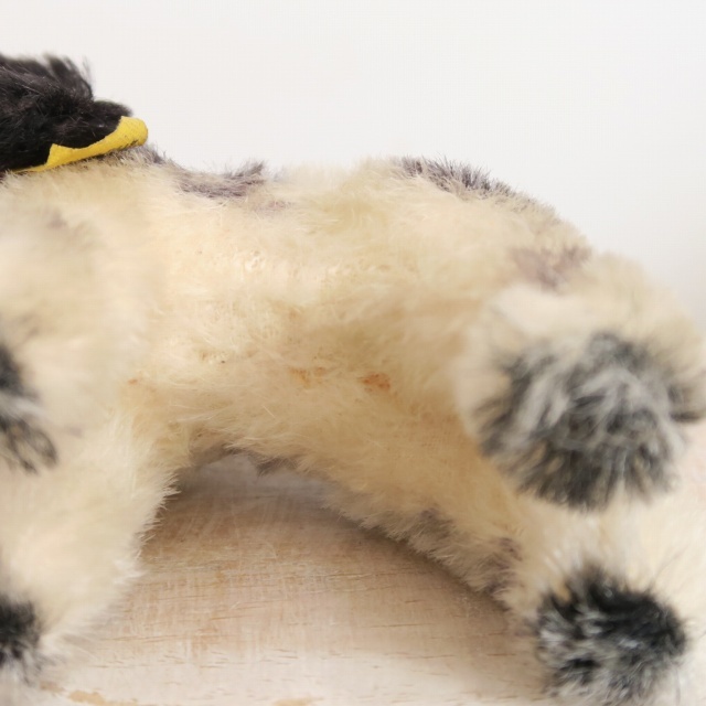 アンティーク シュタイフ コッカースパニエル Steiff Cockie 12cm