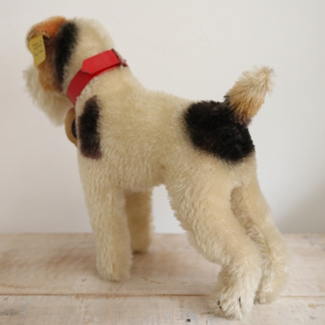 アンティーク シュタイフ ワイヤー フォックス テリア Steiff Foxy 17cm サイズ