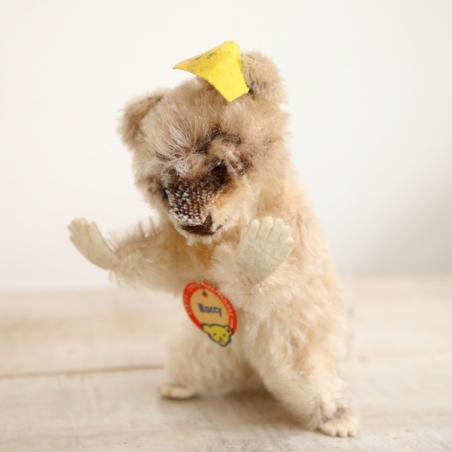 アンティーク シュタイフ アライグマ Steiff Raccy 10cm サイズ