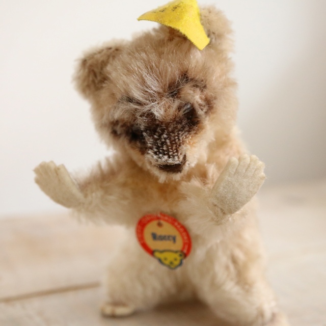 アンティーク シュタイフ アライグマ Steiff Raccy 10cm サイズ