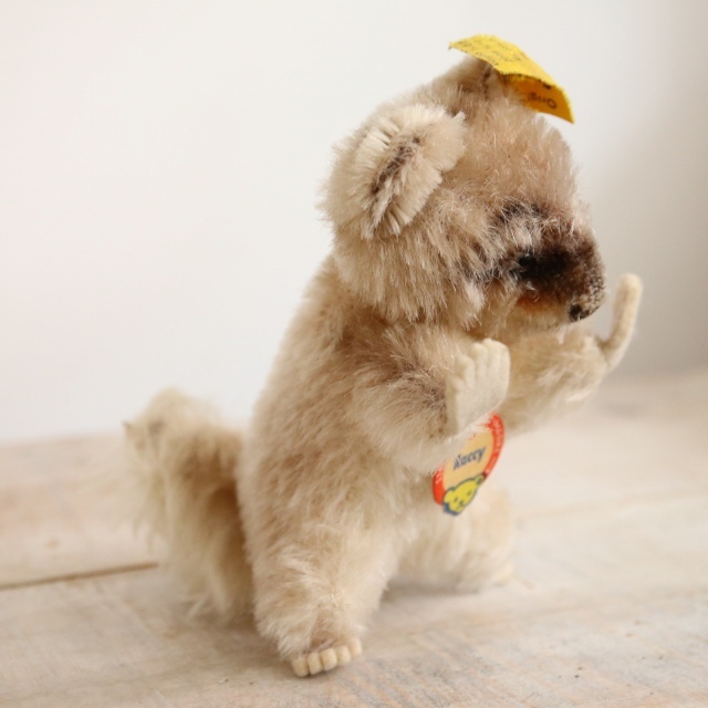 アンティーク シュタイフ アライグマ Steiff Raccy 10cm サイズ