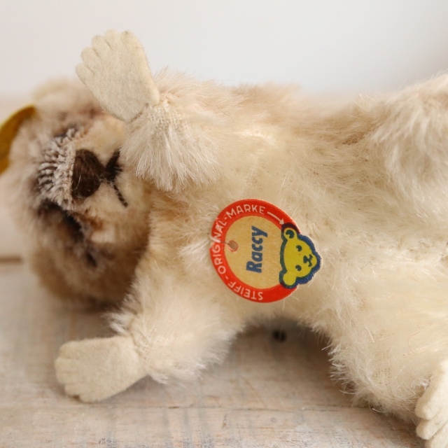 アンティーク シュタイフ アライグマ Steiff Raccy 10cm サイズ