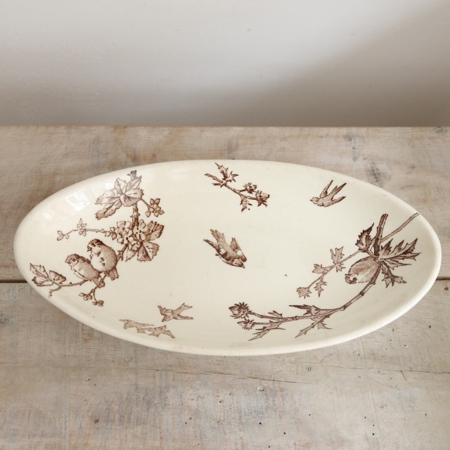 アンティークラヴィエ オーバル皿 CHARDONNERET フランス クレイユモントロー製 Creil Montereau