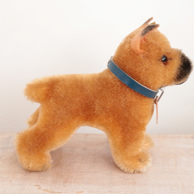 シュタイフ ボクサー犬 アンティーク シュタイフ ボクサー Steiff Boxer 10cm